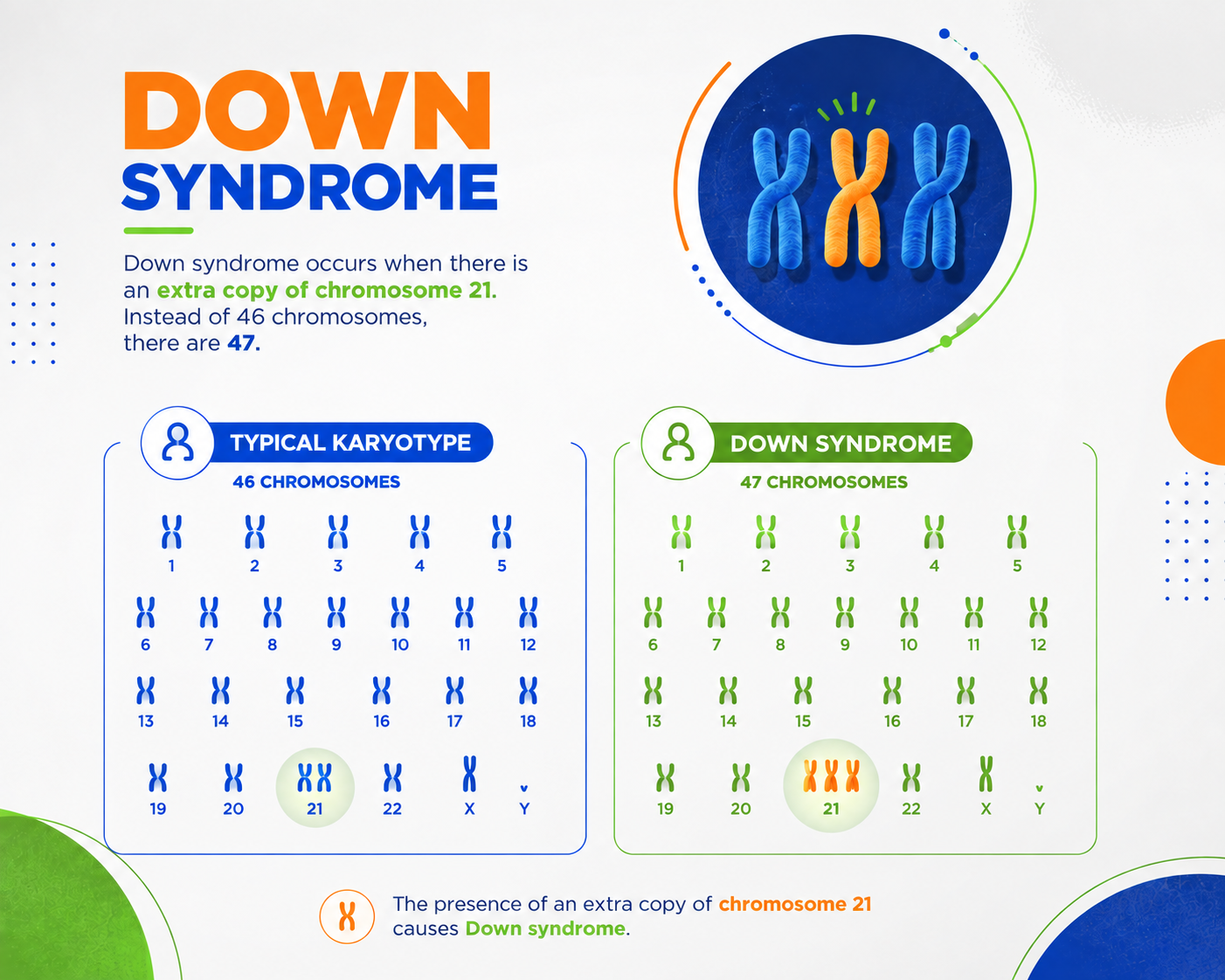 Trisomy Chart